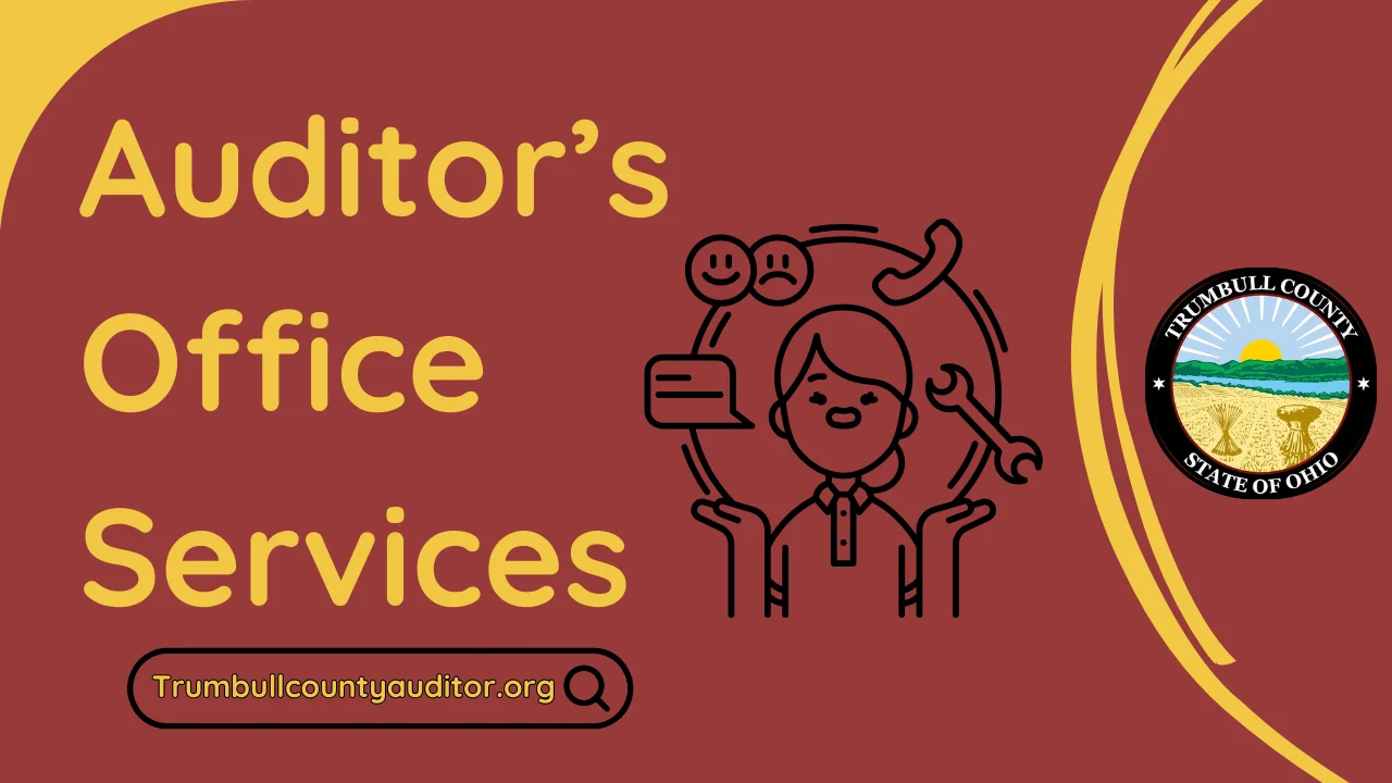 Common Auditor’s Office Services and How to Use Them ✔