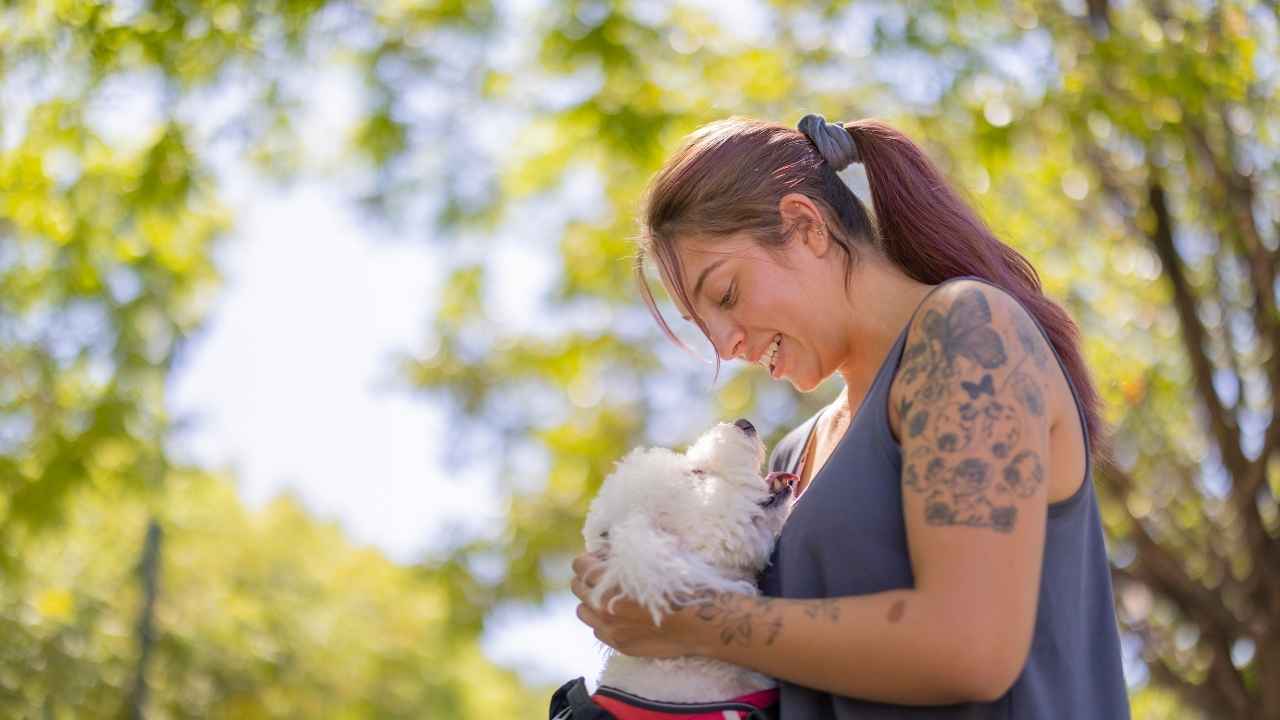 How Service Dog Owners Can Get a Free Dog License in the United States (2025)