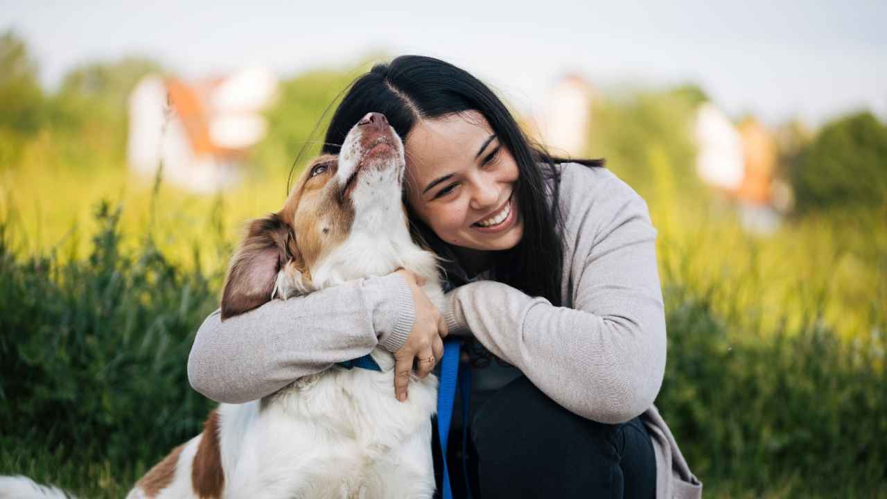 What Every Dog Owner Should Know About Licensing Fees